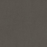 Rambutan-nj - # 779 graphite- Maxwell Fabric By The Yard