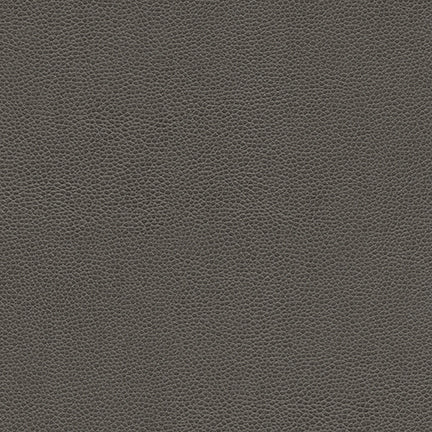 Rambutan-nj-# 779 graphite