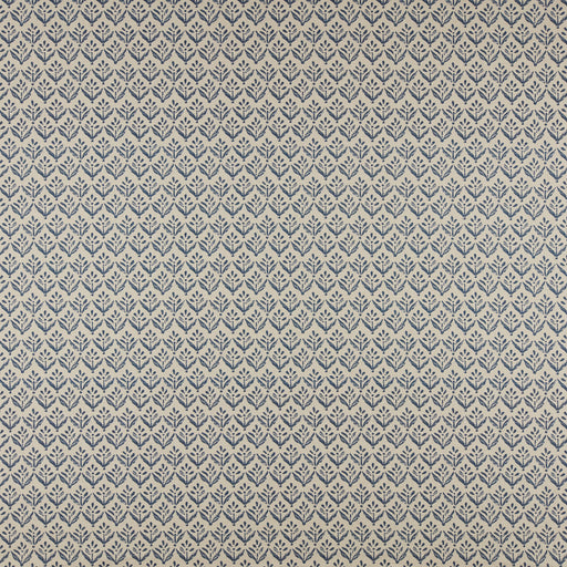 Aster-# 555 navy
