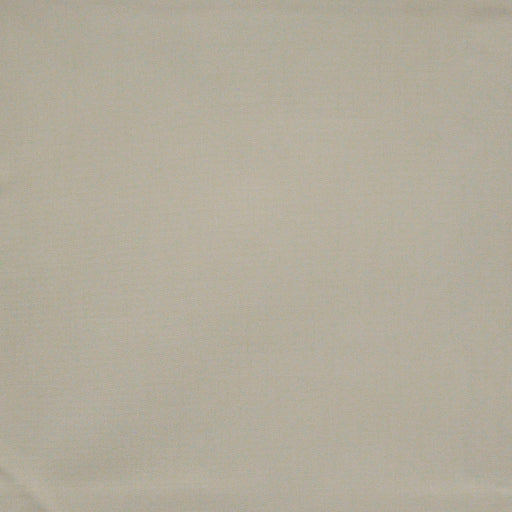 Standish-# 665 gesso