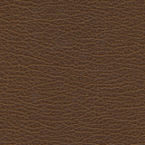 Spire-nj - # 1192 java- Maxwell Fabric By The Yard