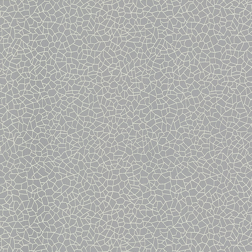 Kew foil (wp)-# 06