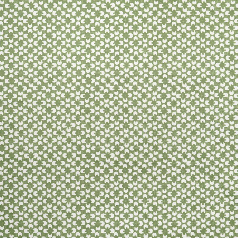 Ryder-# 624 aloe
