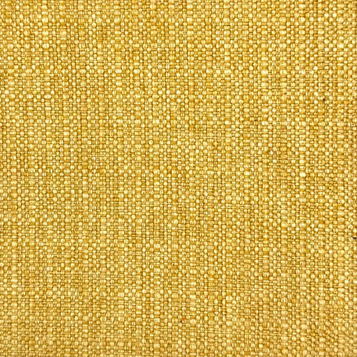 Neal-# 523 golden