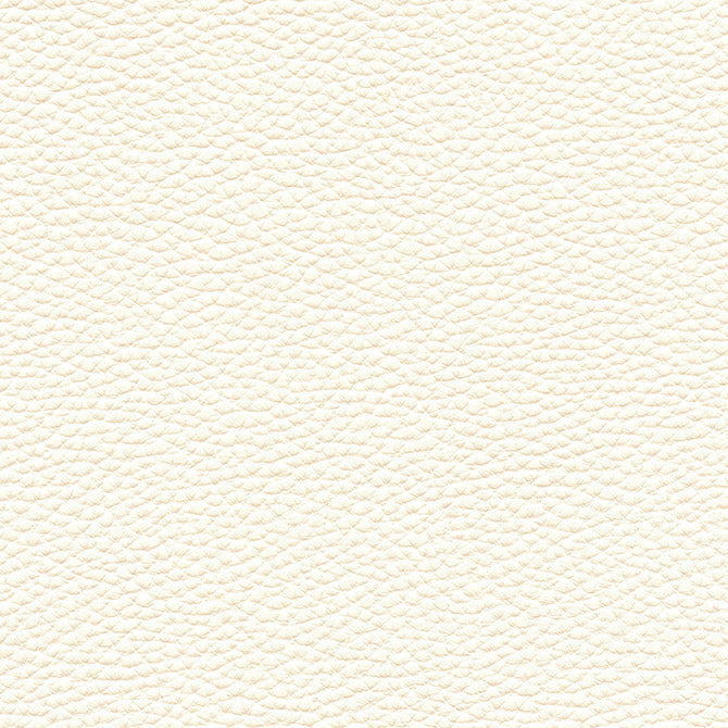 Tebessa-nj-# 151 ivory