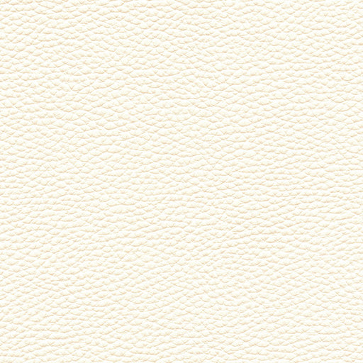 Tebessa-nj-# 151 ivory