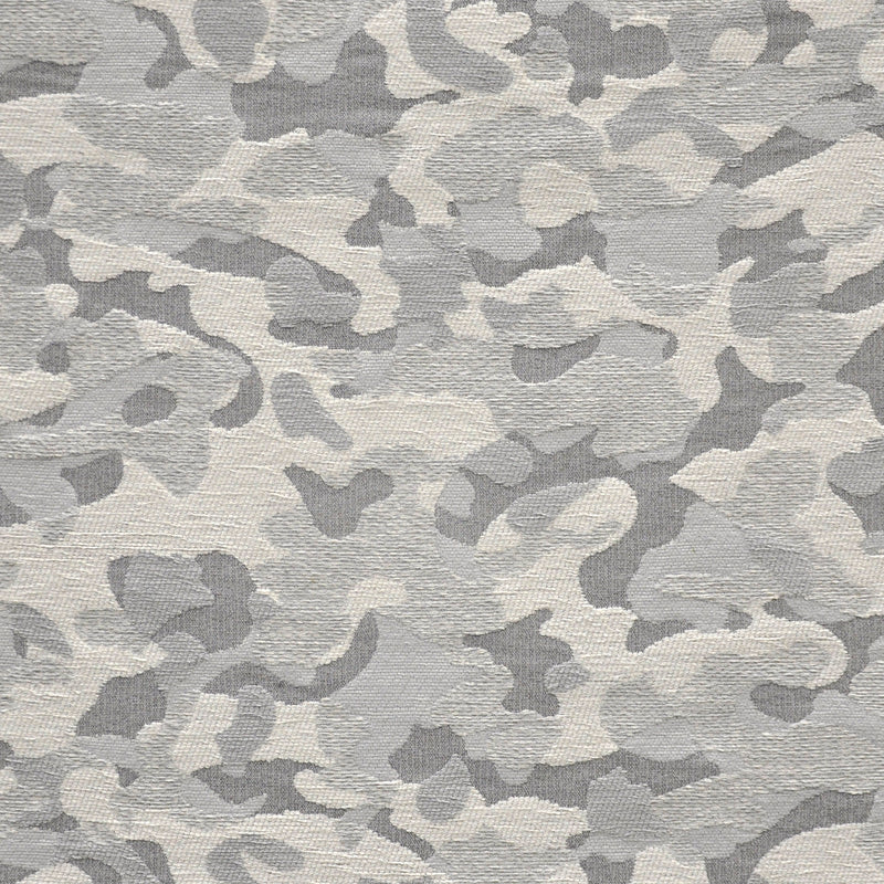 Topography-# 902 snowcapped