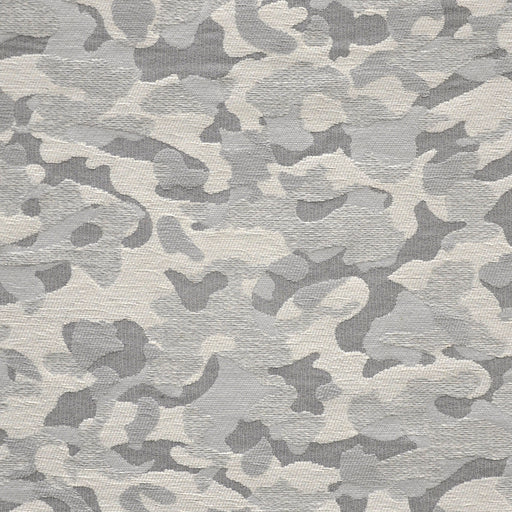 Topography-# 902 snowcapped