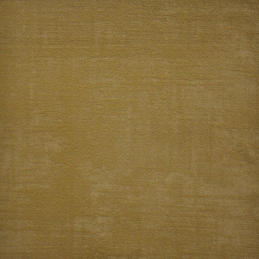 Carlotta-# 717 maple
