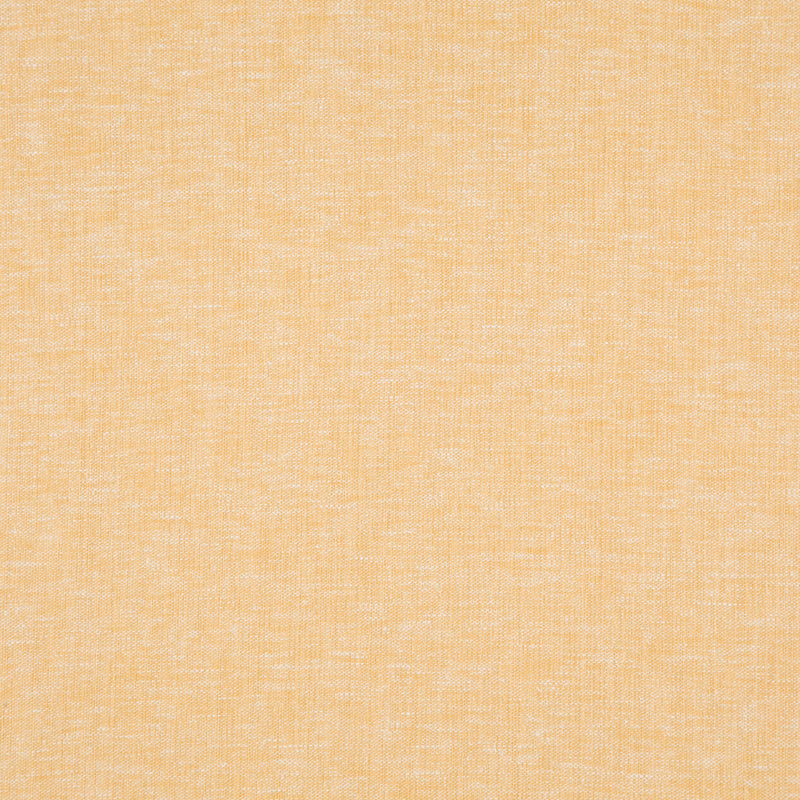 Cloud-# 23 mimosa