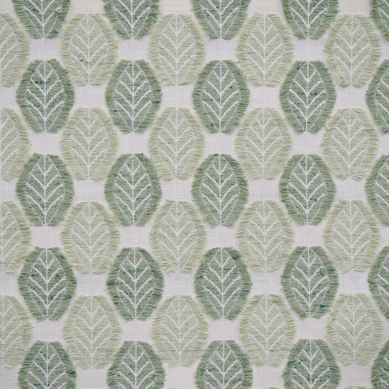 Arborio-# 351 celadon