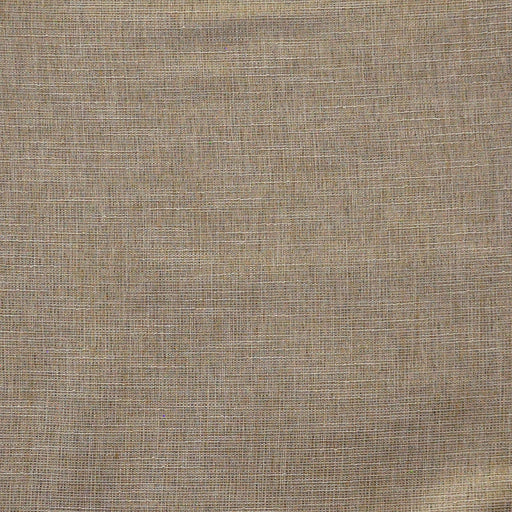 Lysander-# 609 flax