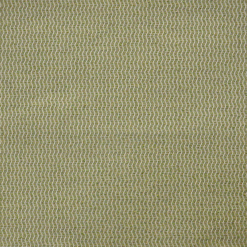 Spinnaker-# 801 kelp