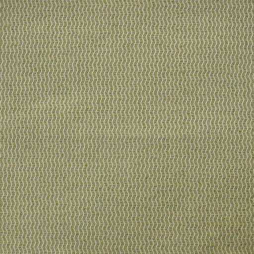 Spinnaker-# 801 kelp