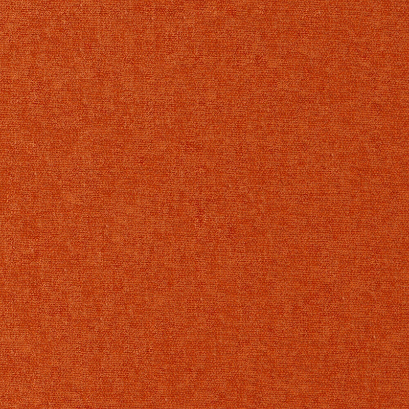 Conte-# 899 koi