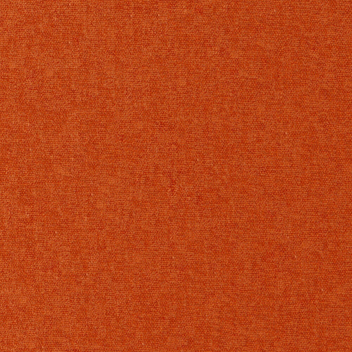 Conte-# 899 koi