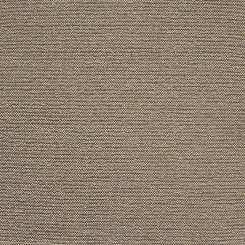 Hollis-# 622 dove