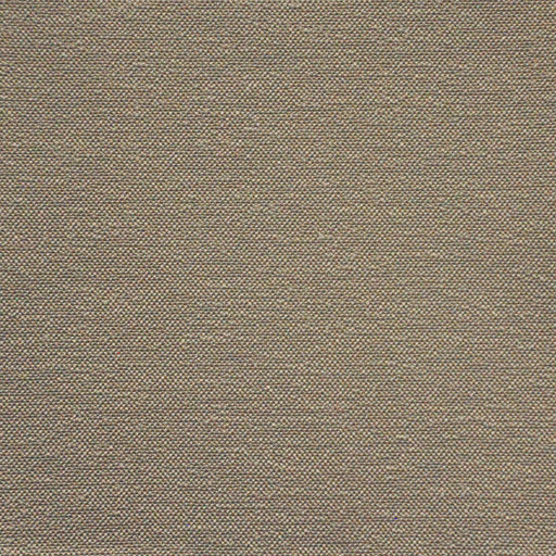 Hollis-# 622 dove