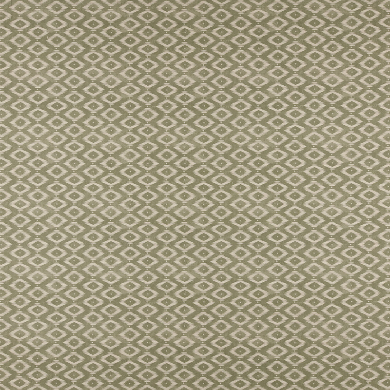 Kodi-# 508 fern