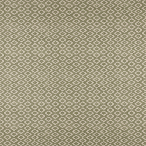 Kodi-# 508 fern