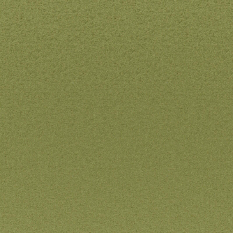 Cadenza-# 741 grass