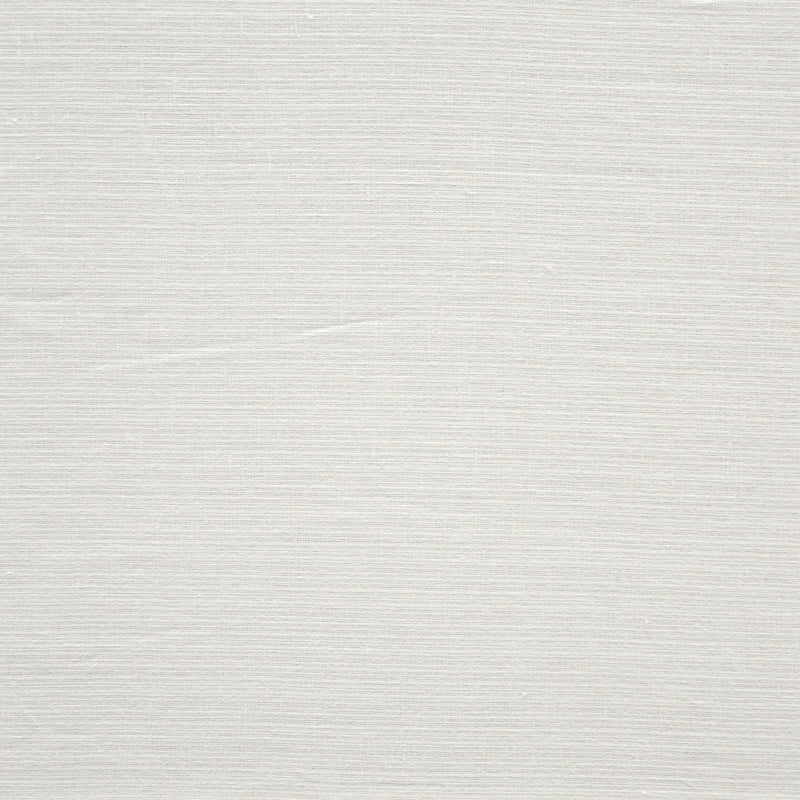Jarrah-# 118 eggshell