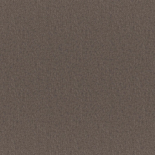 Bruno-# 254 truffle