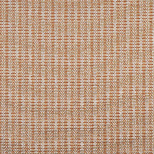 Dobbin-# 803 apricot