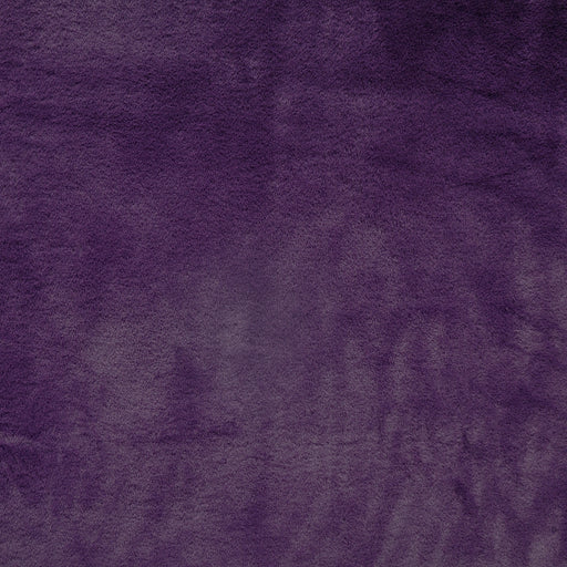 Siberia-# 55 plum