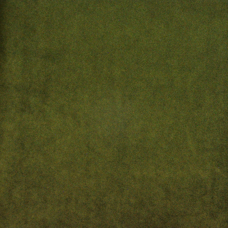 Palermo-# 418 olive