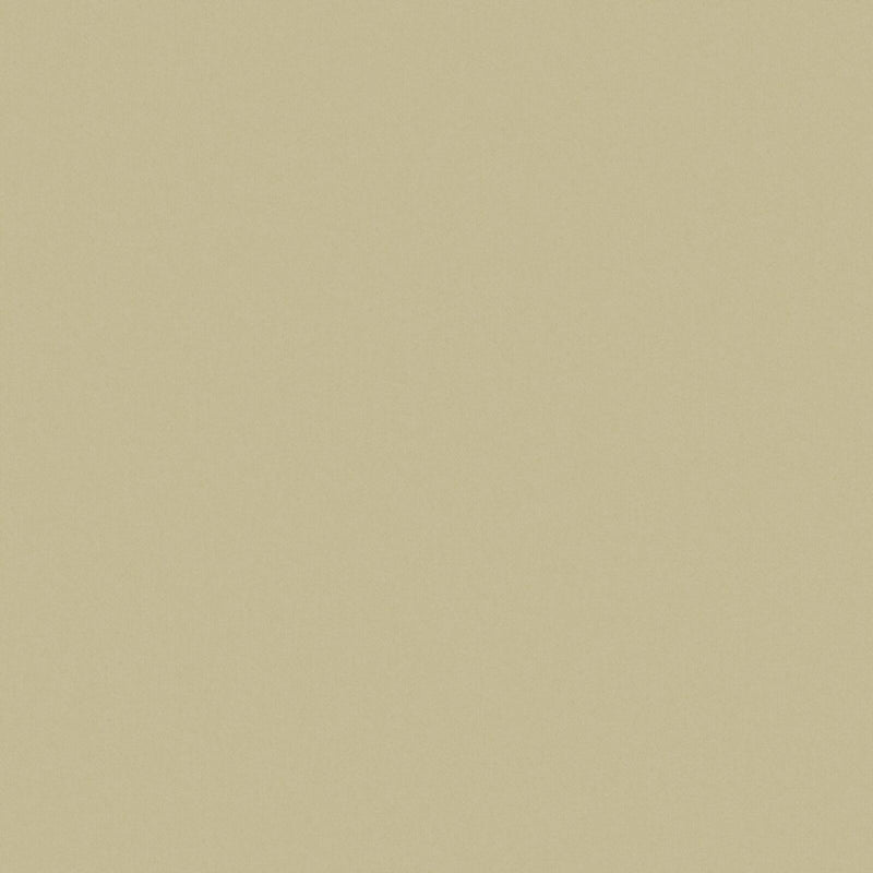 Zaitun-# 544 seagrass
