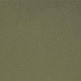 Classic(contract vinyl) - # 036 sage- Maxwell Fabric By The Yard