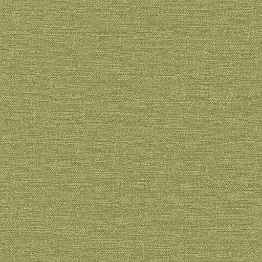 Impasto-# 810 fern