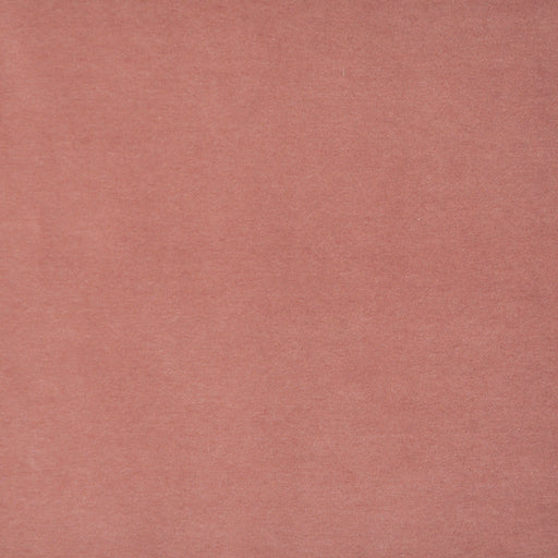 Snug-# 418 grapefruit
