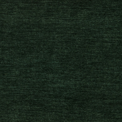 Rave-# 618 evergreen
