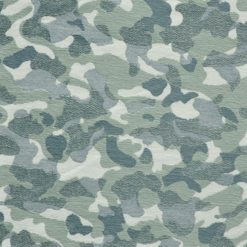 Topography-# 712 algae