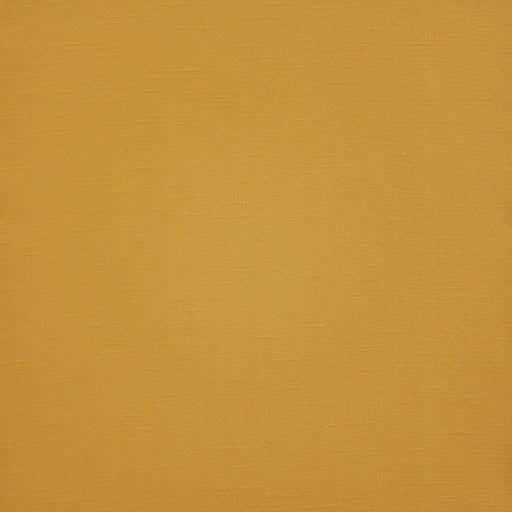 Prato-# 539 marigold
