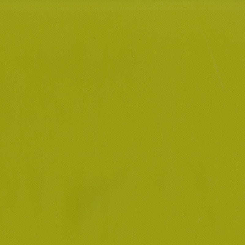 Jackson-# 613 citrus