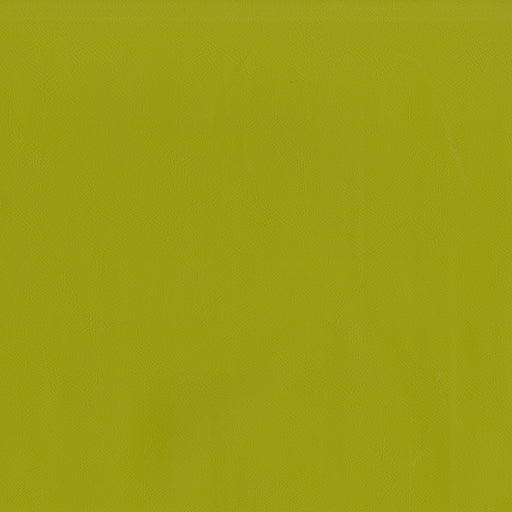 Jackson-# 613 citrus