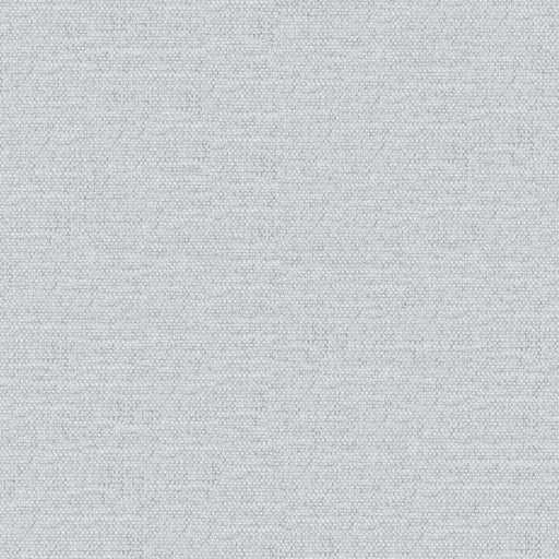 Castor-# 964 silver