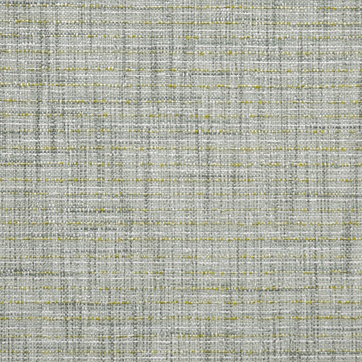 Winslow-# 718 celery