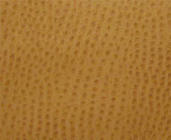 Phoenix(contract vinyl)-# 009 ochre
