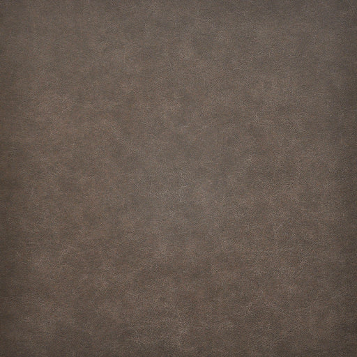 Taro-# 219 shetland