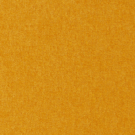 Conte-# 900 spice