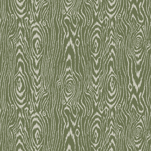 Euclid (wp)-#602 basil