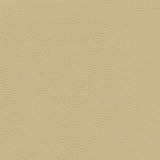 Catalyst-nj - # 518 gesso- Maxwell Fabric By The Yard