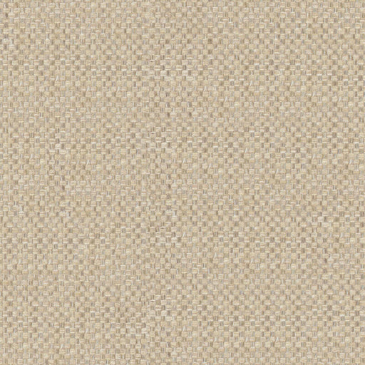 Swift-# 920 biscuit