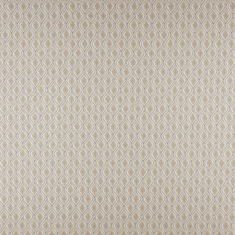 Birch-# 542 stone