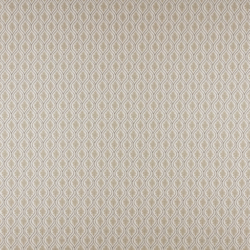 Birch-# 542 stone
