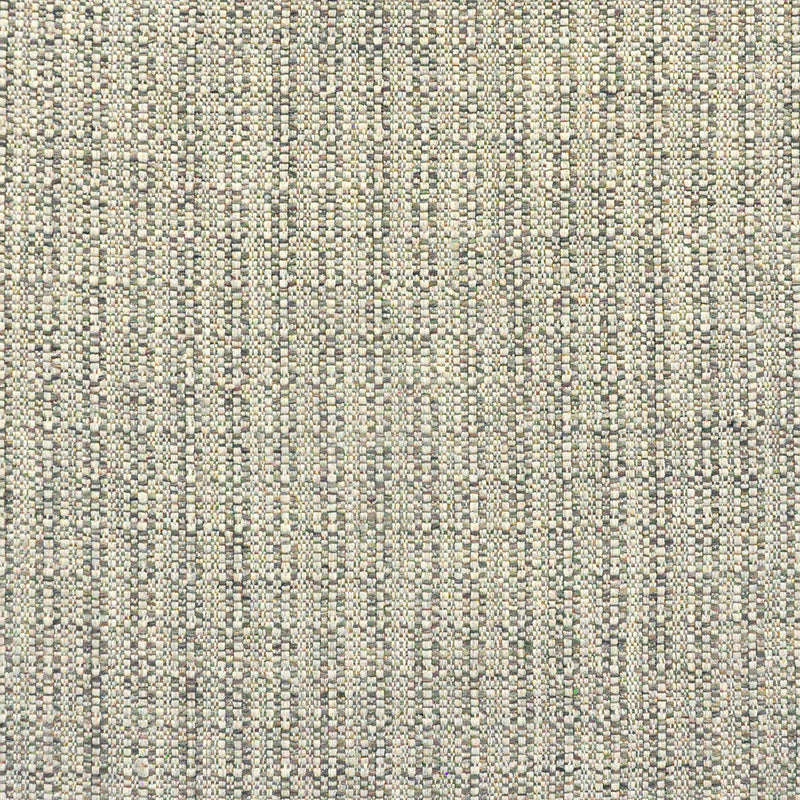 Atwell-# 410 silverfish